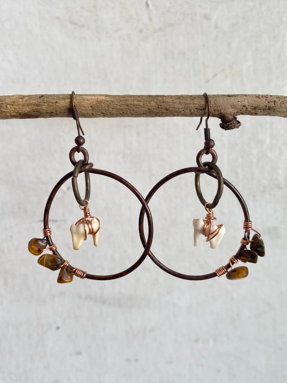 Tiger’s Eye + Swine Teeth Dangle Earrings in Brass